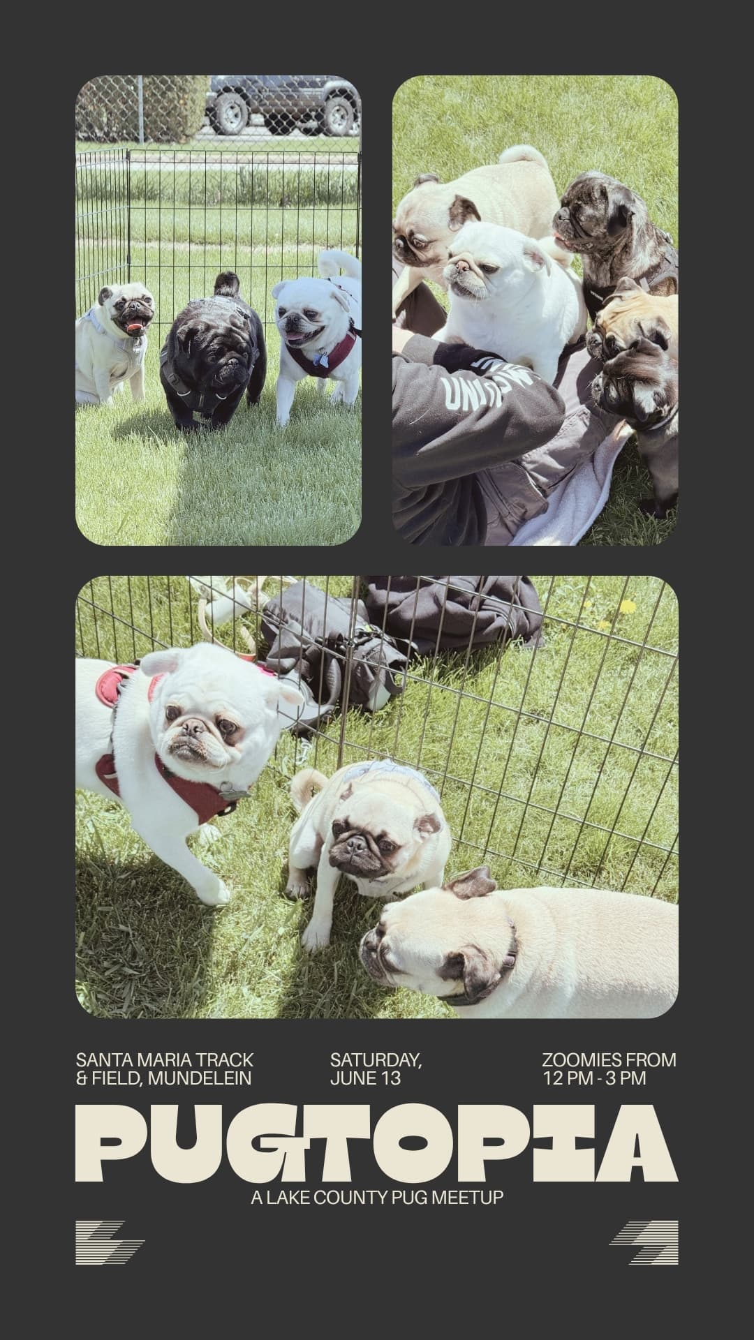 pugtopia lake county illinois