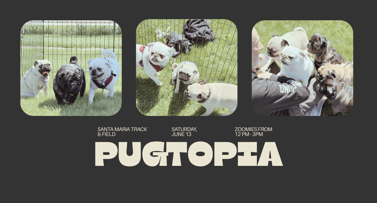 pugtopia lake county illinois